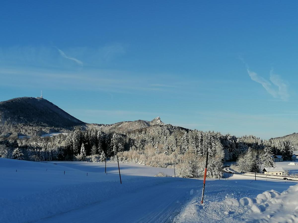 Ferienhof Kehlbauer Hof bei Salzburg Luaran gambar