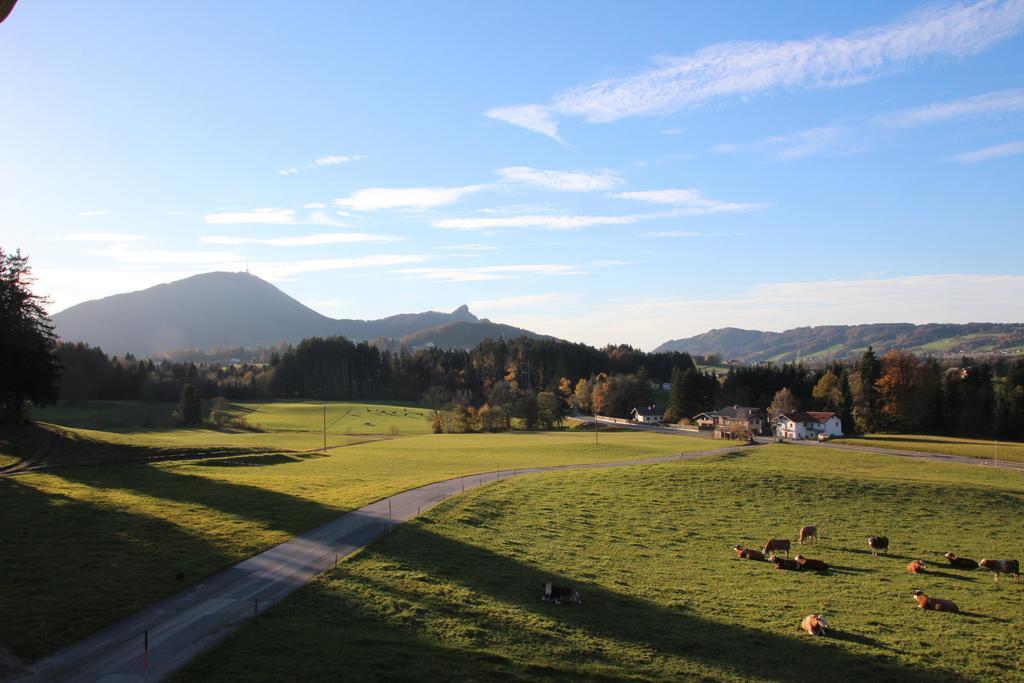 Ferienhof Kehlbauer Hof bei Salzburg Bilik gambar